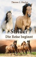 Cover for Fischer Theresa L. Fischer · Strider: Die Reise beginnt (Pocketbok) (2022)