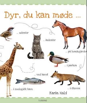 Dyr, du kan møde - Karin Hald - Bøker - Turbine - 9788740657296 - 7. oktober 2019