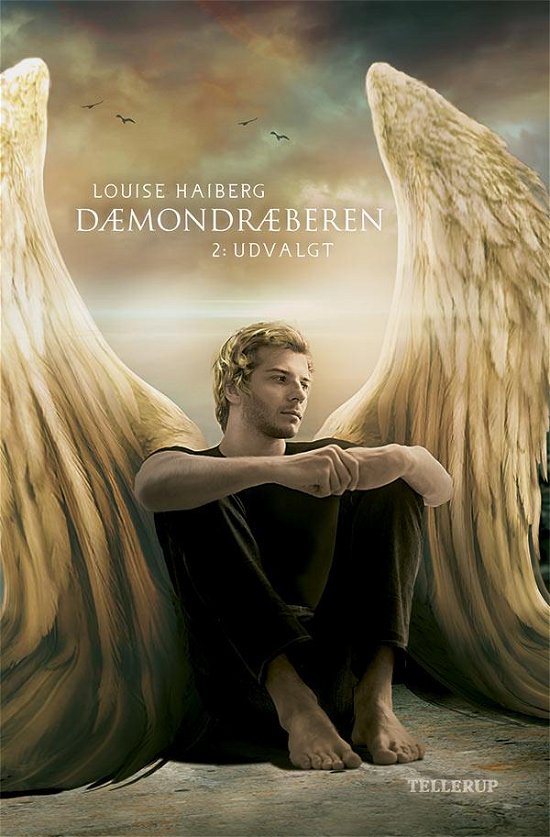 Cover for Louise Haiberg · Dæmondræberen, 2: Dæmondræberen #2: Udvalgt (Hardcover Book) [1º edição] [Hardback] (2014)
