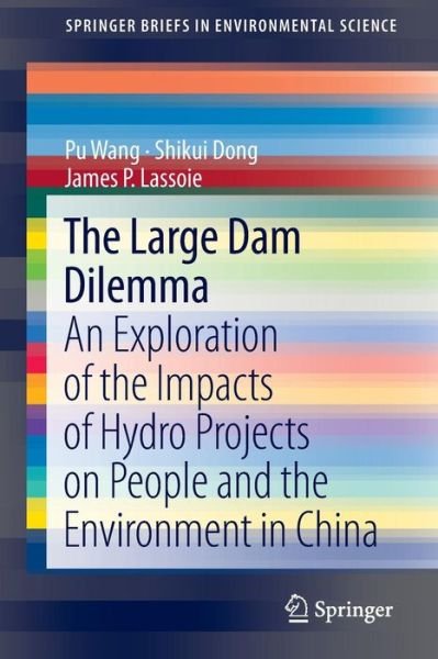 Cover for Pu Wang · The Large Dam Dilemma: An Exploration of the Impacts of Hydro Projects on People and the Environment in China (Pocketbok) [2014 edition] (2013)