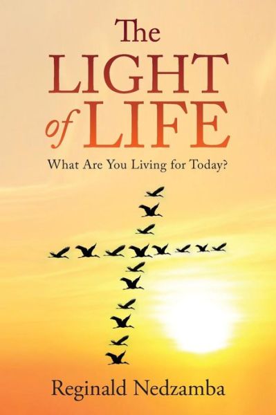 Cover for Reginald Nedzamba · The Light of Life: What Are You Living for Today? (Paperback Book) (2016)