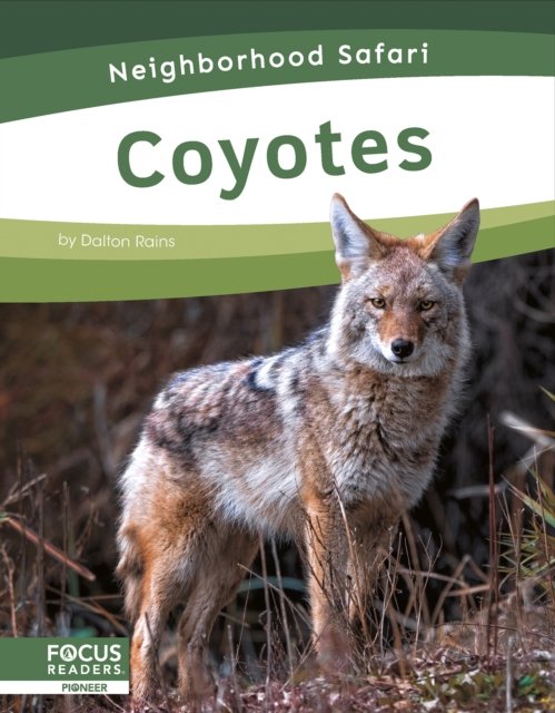 Cover for Dalton Rains · Coyotes - Neighborhood Safari Set 2 (Paperback Book) (2024)