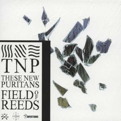 Field of Reeds - These New Puritans - Musiikki - ALTERNATIVE - 0843798005297 - maanantai 3. maaliskuuta 2014