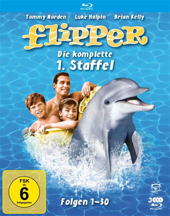Cover for Kelly,brian / Norden,tommy · Flipper-die Komplette 1.staffel (3 Blu-rays) (F (Blu-ray) (2020)