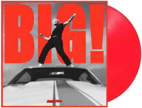 Big! - Betty Who - Music - BMG Rights Management LLC - 4050538816297 - February 3, 2023