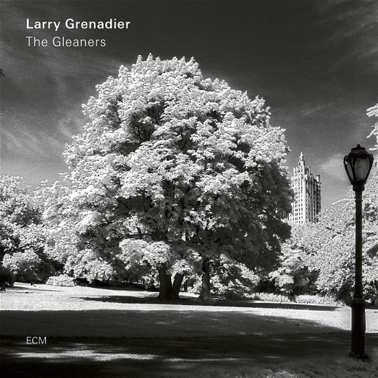 Cover for Larry Grenadier · Gleaners (CD) (2019)