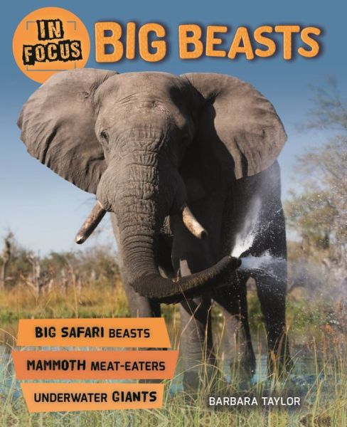 In Focus Big Beasts - Barbara Taylor - Books - MACMILLAN USA - 9780753474297 - August 21, 2018