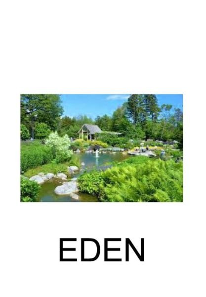 Cover for Ii Eduardo D. Merricks · Eden (Hardcover Book) (2017)