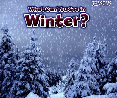 Cover for Sian Smith · What Can You See In Winter? - Seasons (Paperback Book) (2015)