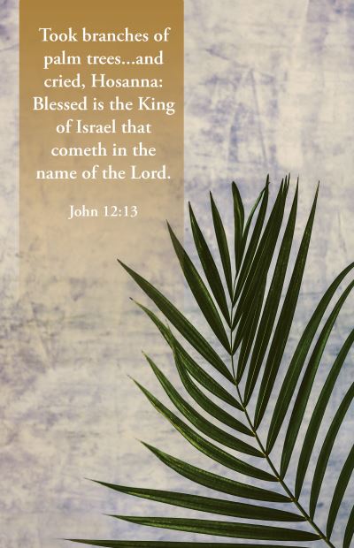 Cover for Broadman Church Broadman Church Supplies Staff · Palm Sunday Bulletin : in the Name of the Lord : John 12 (Book) (2024)