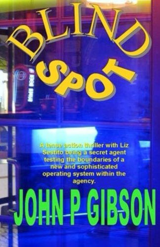 Cover for John P Gibson · Blind Spot (Paperback Book) (2013)
