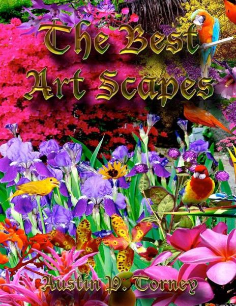 Cover for Austin P Torney · My Best Art Scapes (Taschenbuch) (2013)