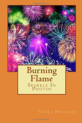 Cover for Viola Pressley · Burning Flame (Paperback Book) (2014)