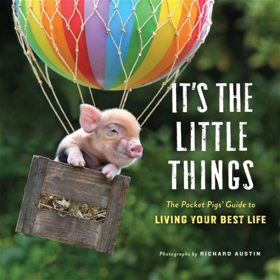 Cover for Richard Austin · It's the Little Things: The Pocket Pigs' Guide to Living Your Best Life (Inspiration Book, Gift Book, Life Lessons, Mini Pigs) (Hardcover Book) (2019)