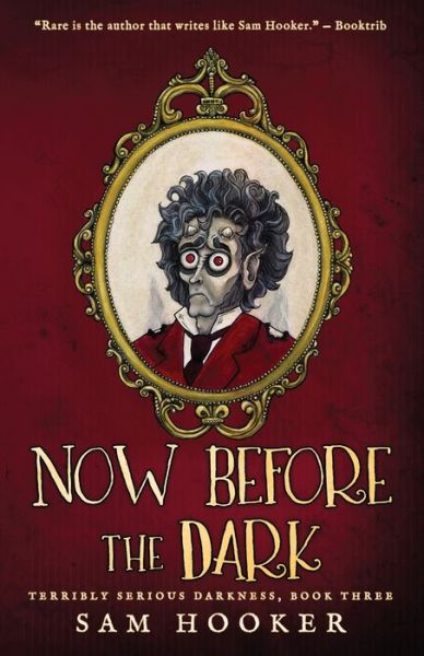 Cover for Sam Hooker · Now Before the Dark - Terribly Serious Darkness (Paperback Book) (2020)