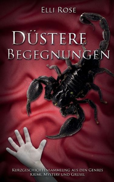 Cover for Elli Rose · Dustere Begegnungen (Paperback Book) (2021)