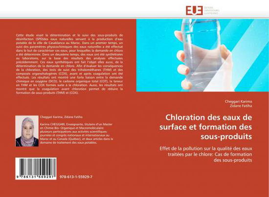 Cover for Karima · Chloration des eaux de surface e (Book)