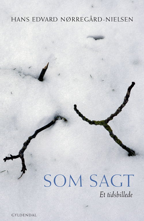 Cover for Hans Edvard Nørregård-Nielsen · Som sagt (Sewn Spine Book) [1º edição] (2008)