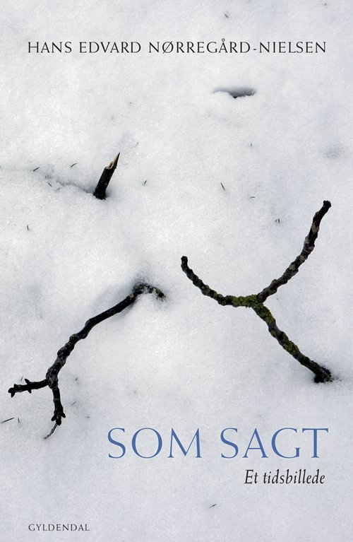 Cover for Hans Edvard Nørregård-Nielsen · Som sagt (Sewn Spine Book) [1st edition] (2008)