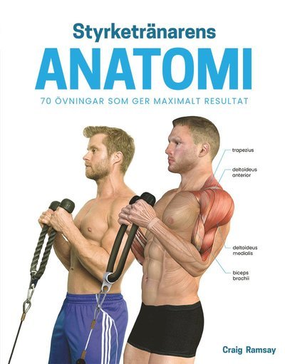 Styrketränarens anatomi - Craig Ramsay - Books - Tukan Förlag - 9789180376297 - October 7, 2022