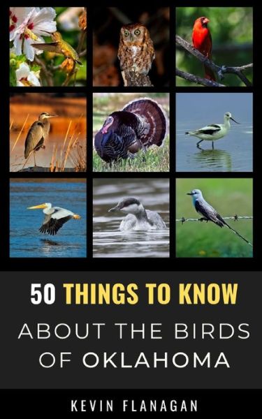 Cover for Kevin Flanagan · 50 Things to Know About Birds in Oklahoma (Paperback Book) (2021)