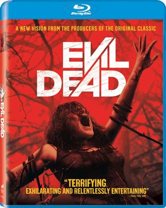 Cover for Evil Dead (Blu-ray) (2013)