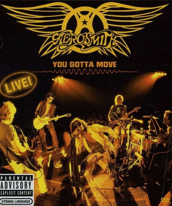 Cover for Aerosmith · Aerosmith-You Gotta A Move (DVD)