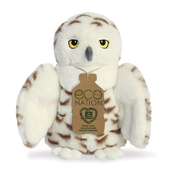 Cover for Eco Nation Snowy Owl (Pocketbok) (2023)