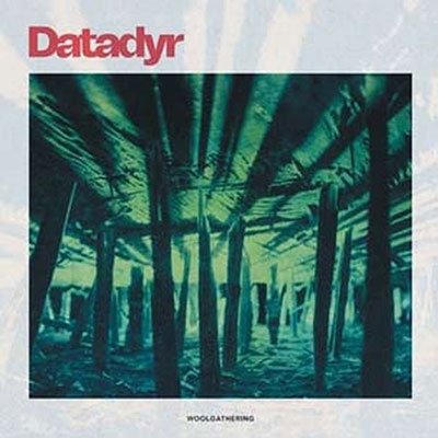 Woolgathering (Red Vinyl) - Datadyr - Musiikki - KARISMA RECORDS - 7090008313298 - perjantai 10. kesäkuuta 2022
