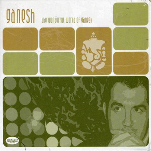 Cover for Ganesh · The Wonderful World Of Ganes (CD) (2007)