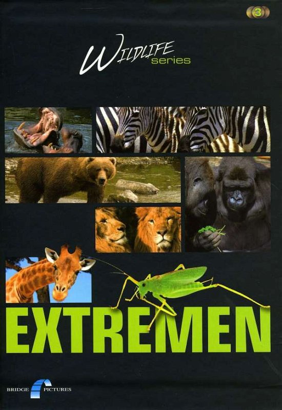 Cover for Wildlife · Extremen (DVD)