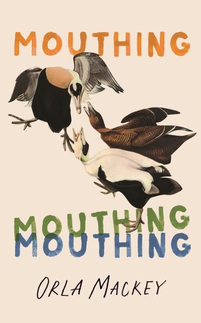 Cover for Orla Mackey · Mouthing (Paperback Bog) (2024)