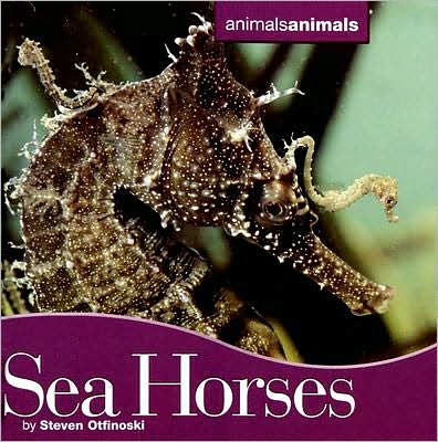 Seahorses - Steven Otfinoski - Książki - Cavendish Square Publishing - 9780761425298 - 30 stycznia 2008