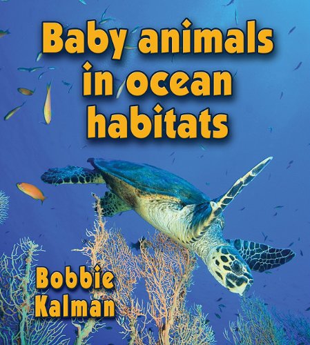 Cover for Bobbie Kalman · Baby Animals in Ocean Habitats (Habitats of Baby Animals) (Hardcover Book) (2011)