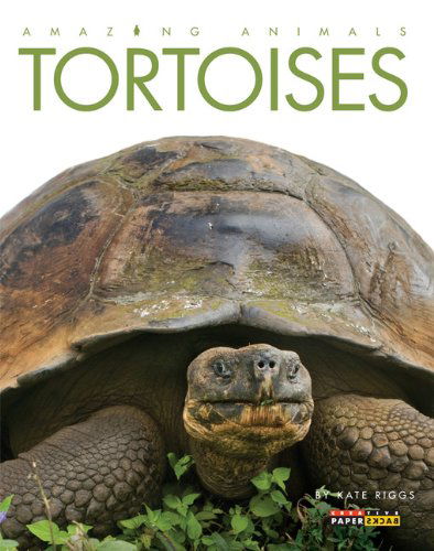 Cover for Kate Riggs · Amazing Animals: Tortoises (Paperback Book) (2014)