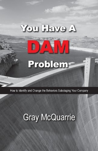 Cover for Gray Mcquarrie · You Have a Dam Problem (Pocketbok) (2013)