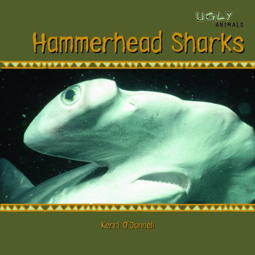 Cover for Kerri O'donnell · Hammerhead Sharks (Ugly Animals) (Hardcover Book) (2006)