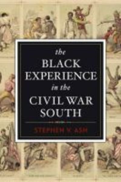 Cover for Stephen V. Ash · The Black Experience in the Civil War South (Paperback Book) (2013)