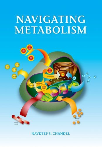 Navigating Metabolism - Chandel, Navdeep (Northwestern University Feinberg School of Medicine) - Books - Cold Spring Harbor Laboratory Press,U.S. - 9781621821298 - October 15, 2014