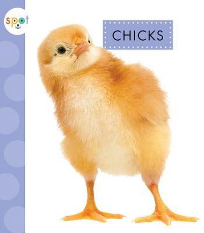 Cover for Anastasia Suen · Chicks (Hardcover Book) (2019)