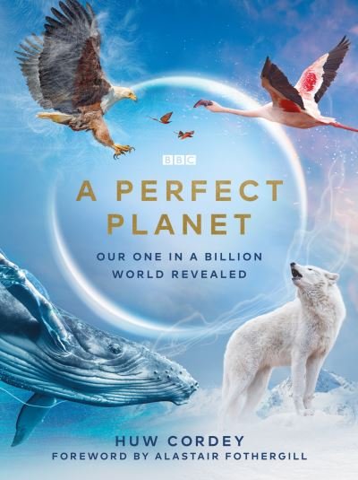 Cover for Huw Cordey · A Perfect Planet (Hardcover Book) (2020)
