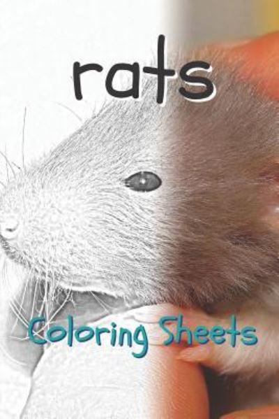 Cover for Julian Smith · Rat Coloring Sheets (Paperback Book) (2019)