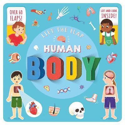 Cover for Autumn Publishing · Lift The Flap: Human Body - Look Inside Board Book (Board book) (2021)