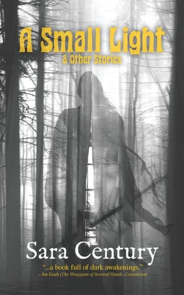 Small Light & Other Stories - Sara Century - Books - Weirdpunk Books - 9781951658298 - December 15, 2022