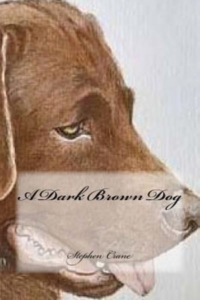 A Dark Brown Dog - Stephen Crane - Bücher - CreateSpace Independent Publishing Platf - 9781984203298 - 24. Januar 2018