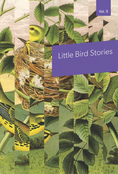 Cover for Sarah Selecky · Little Bird Stories, Volume 9 (Book) (2019)