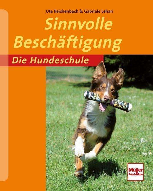 Cover for Reichenbach · Sinnvolle Beschäftigung (Book)