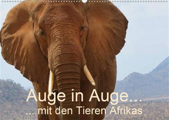 Cover for Dürr · Auge in Auge mit den Tieren Afrika (Book)