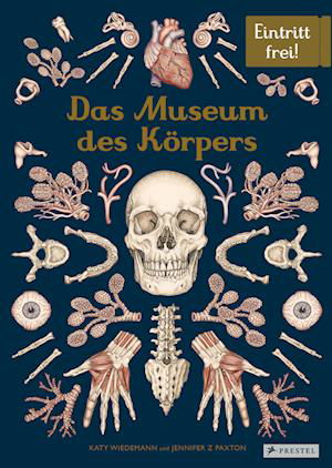 Cover for Jennifer Z. Paxton · Das Museum des Körpers (Book) (2022)