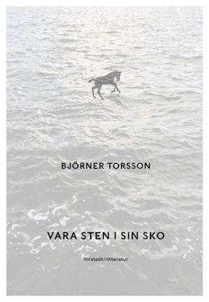 Cover for Torsson Björner · Vara sten i sin sko (Bound Book) (2020)
